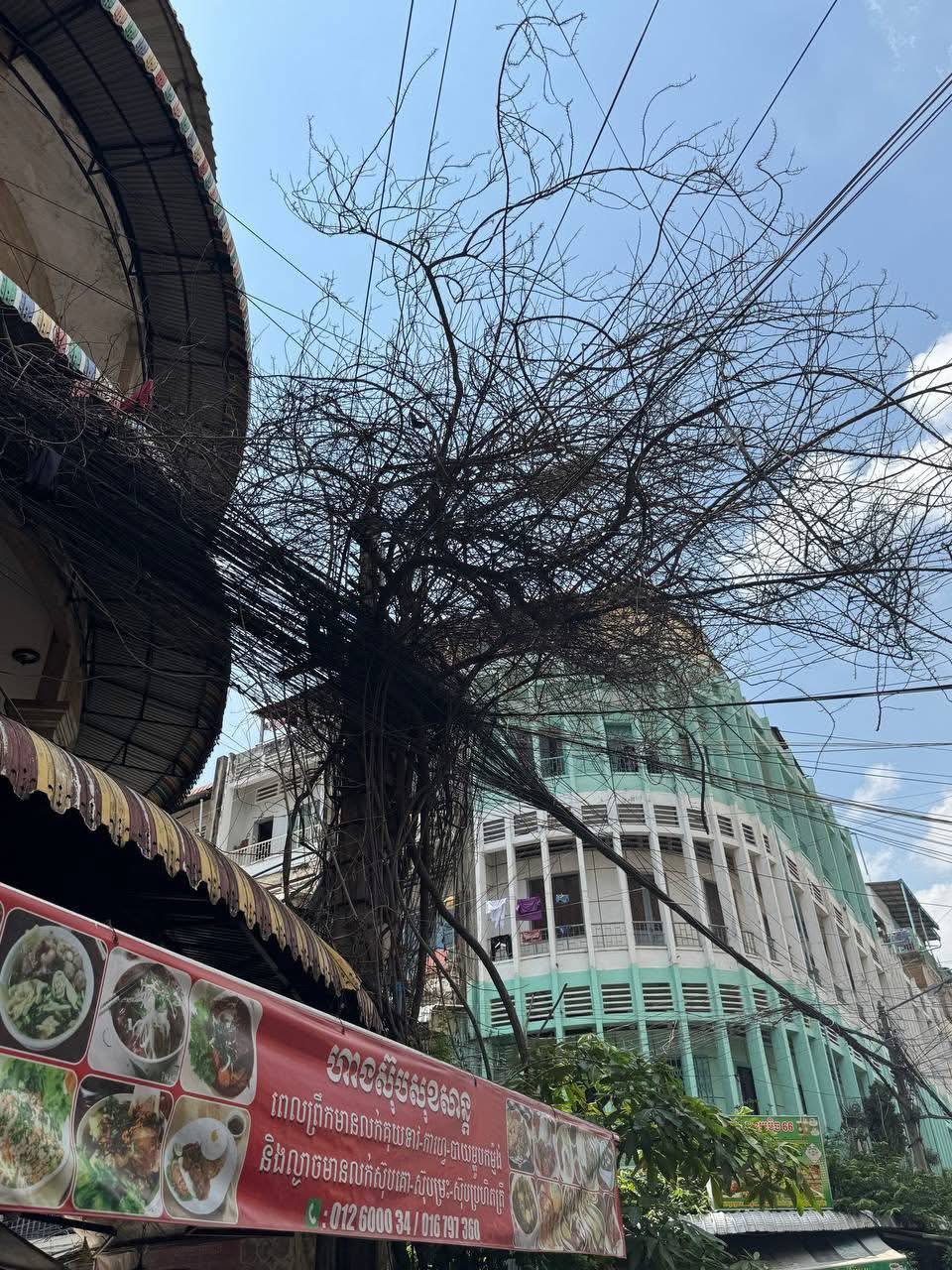 https://api.whitetigertv-asia.com/uploads/images/1746113878302-photo_6_2025-05-01_20-39-59.jpg