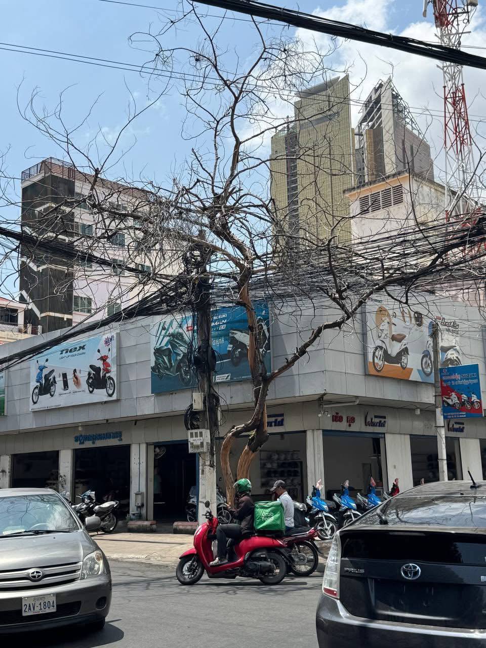 https://api.whitetigertv-asia.com/uploads/images/1746113878306-photo_10_2025-05-01_20-39-59.jpg