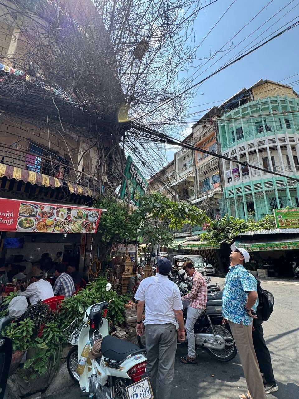 https://api.whitetigertv-asia.com/uploads/images/1746113878309-photo_12_2025-05-01_20-39-59.jpg