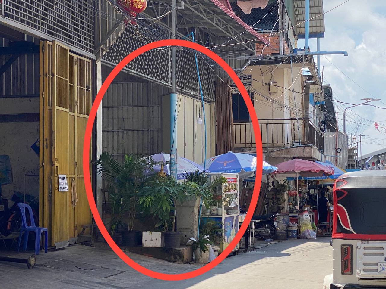 https://api.whitetigertv-asia.com/uploads/images/1747558469639-IMG_1452.jpeg