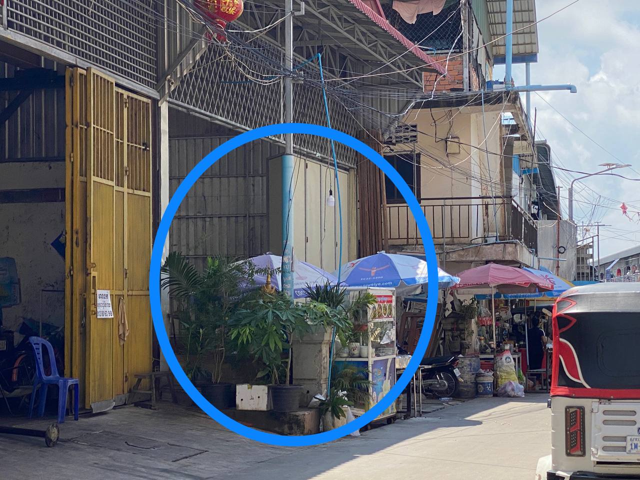 https://api.whitetigertv-asia.com/uploads/images/1747830760494-photo_2025-05-21_19-14-36.jpg