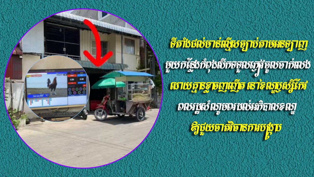 https://api.whitetigertv-asia.com/uploads/images/1752476339435-photo_2025-07-14_13-58-28.jpg