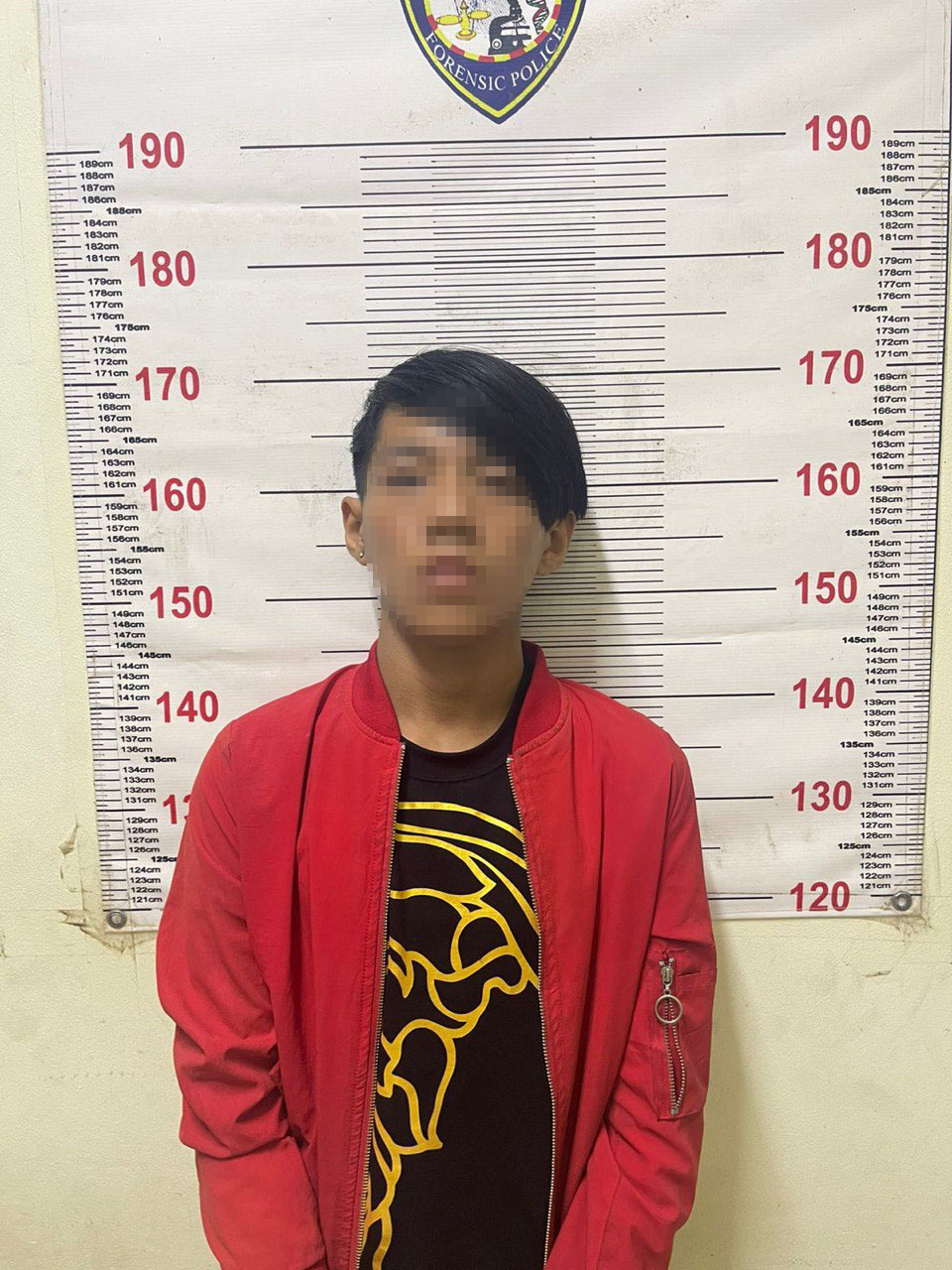 https://api.whitetigertv-asia.com/uploads/images/1753348134691-02.jpg