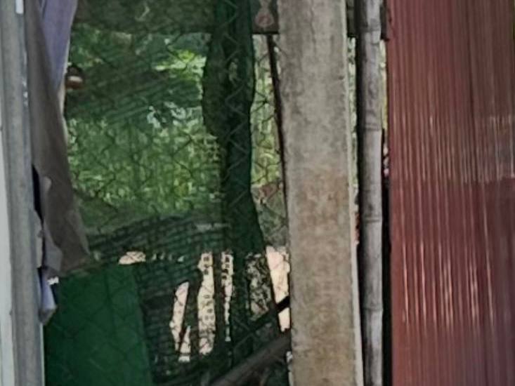 https://api.whitetigertv-asia.com/uploads/images/1790860068458-photo_2026-10-01_20-05-59.jpg