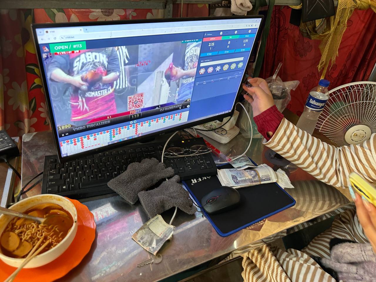 https://api.whitetigertv-asia.com/uploads/images/1791024713397-photo_2026-10-03_17-49-46.jpg