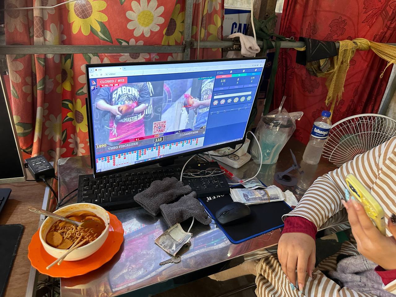 https://api.whitetigertv-asia.com/uploads/images/1791024713398-photo_2026-10-03_17-49-51.jpg